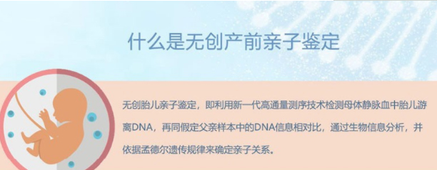 怀孕期间昭通如何办理孕期亲子鉴定,在昭通怀孕几个月做亲子鉴定结果准吗